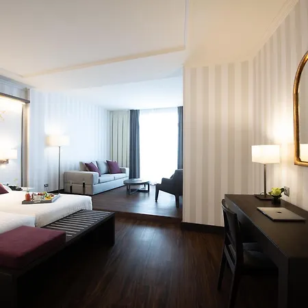 Intelier Palacio San Martin