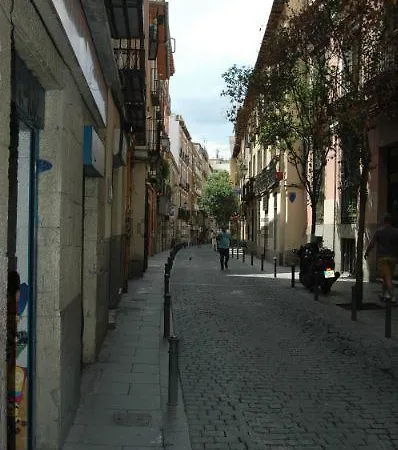 Latina Madrid