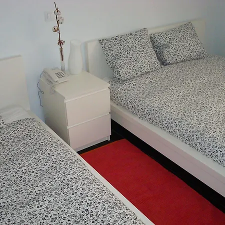 Guest house Goyal Pizarro 3*