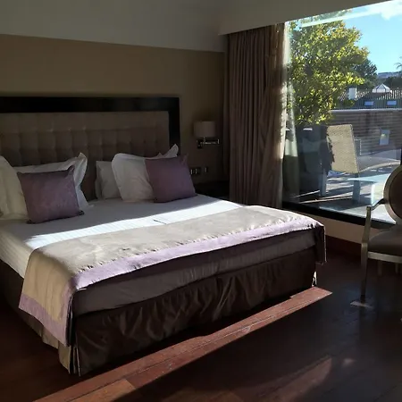 Hotel Dehesa Real 4*