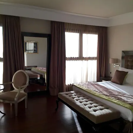 Dehesa Real Hotel 4*