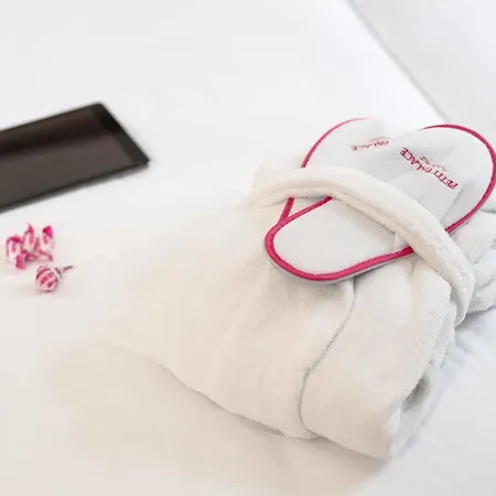 Hotel Petit Palace Plaza Del Carmen Madri