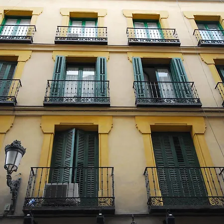 Apartament Blume Cruz