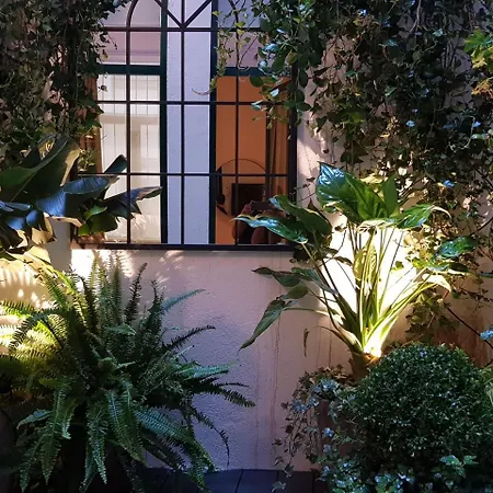 Loft Letras Madrid