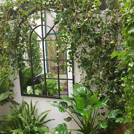 Apartamento Loft Letras Madrid