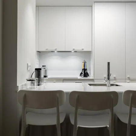 Francisco Silvela By Flatsweethome *