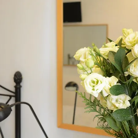 Guest house Alvaro Residencia