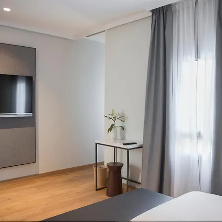Petit Palace Triball Hotel Madrid