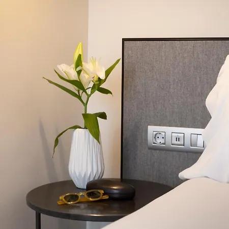 Hotel Petit Palace Triball 3*