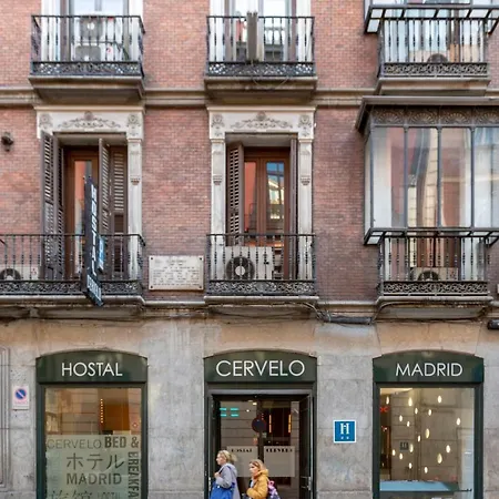 Cervelo Guest house Madrid