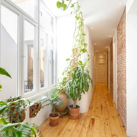 Apartamento Matute 11