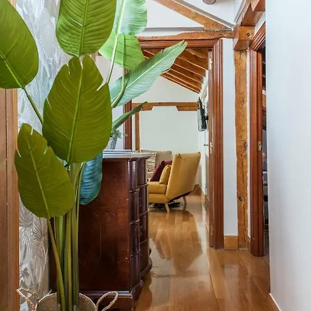 Apartment Renovado Atico En Chamberi Madrid