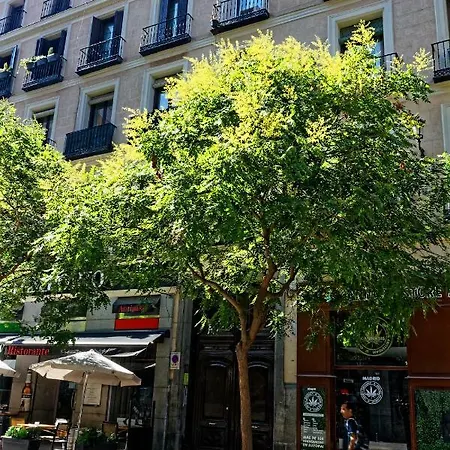 Arenal Preciados Apartamento *