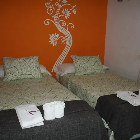 Rofer Guest house *