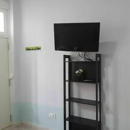 White Goose In Apartment *