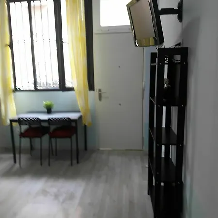 White Goose In Apartment
