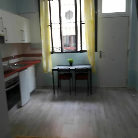 White Goose In Apartment