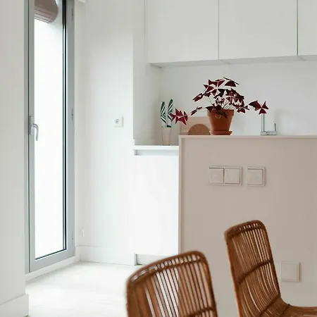 Apartment 60 Balconies Art *
