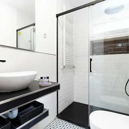 La Rosaleda Center Apartment Madrid