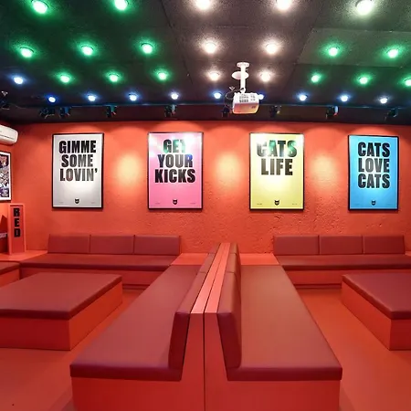 Cats Sol