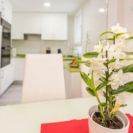 Apartment Plaza Mayor Deluxe Madrid