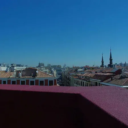 Petit Palace Plaza Mayor Hotel 4*