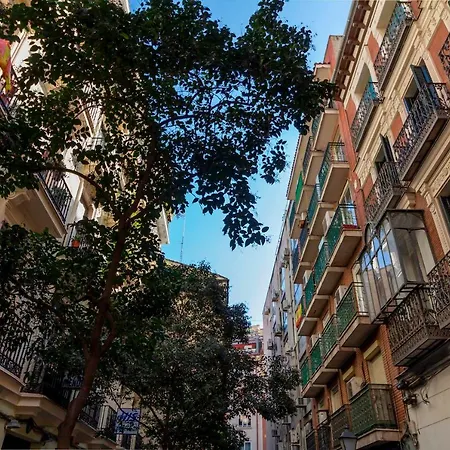 Chinchilla Apartamento Madrid