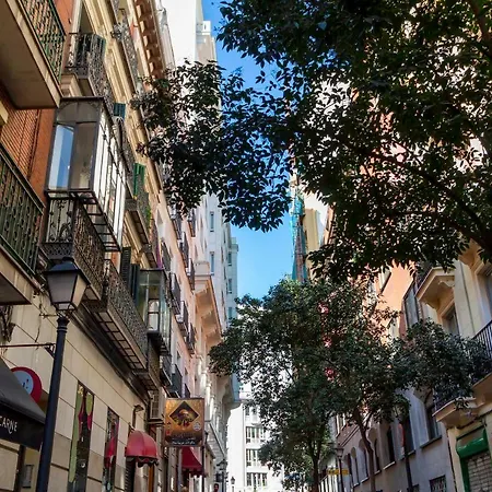Chinchilla * Madrid