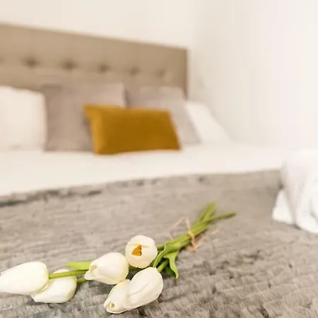 Apartamento Jorge Juan Madrid