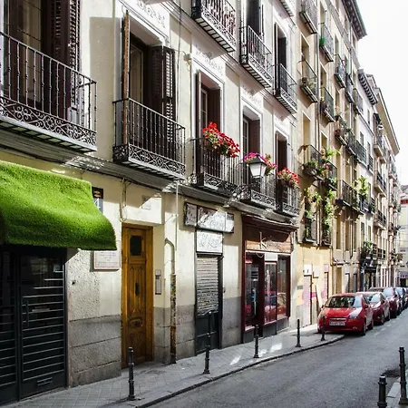 Renovated And Modern- 3bd 2bth- Anton Martin Apartment