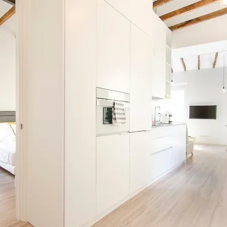 Ayala 152 Apartment Madrid