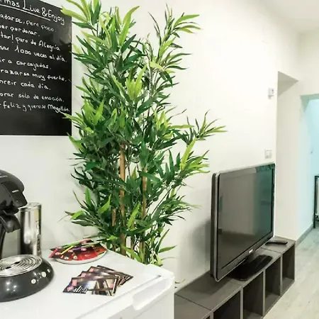 Apartamento Tirso De Molina *
