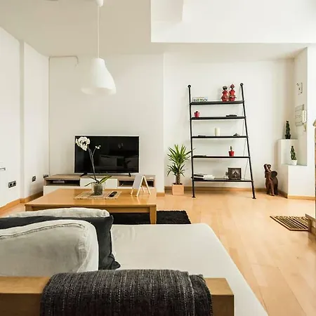 El Loft De San Juan Apartment