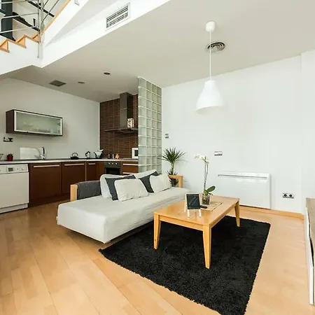 El Loft De San Juan Madrid