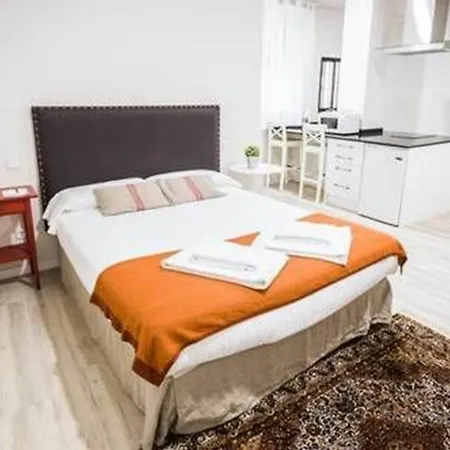 Apartamento L&h Puerta Del Sol Madrid
