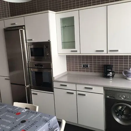 Apartamento Chalet Saldana Madrid