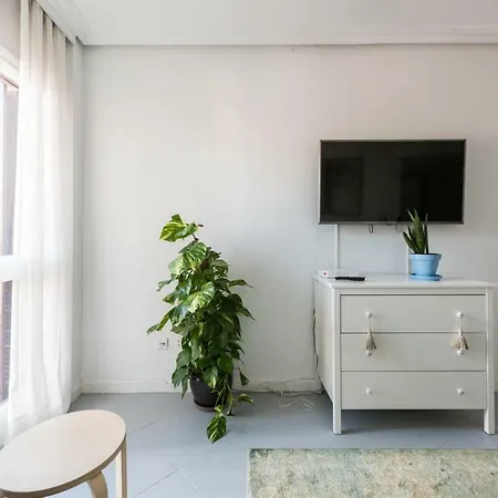 Super View Plaza Mayor Apartment Madrid