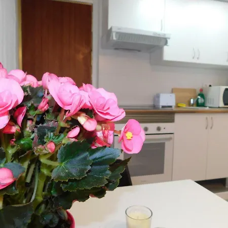 Apartamento Mediodia Grande