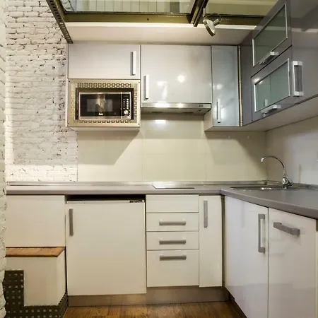 Apartment Duplex Ronda Atocha Madrid