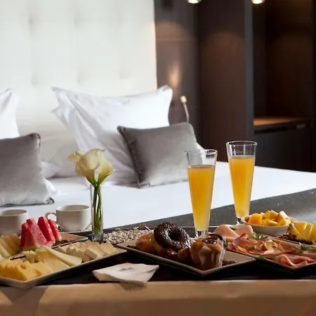 Maydrit Airport 4* Madrid