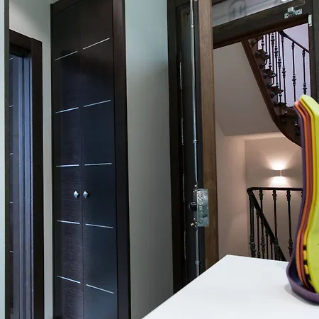 Apartamento Roisa Madrid