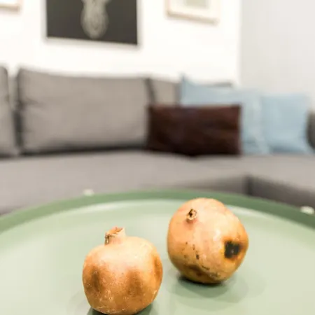 Apartment Hortaleza Center Ii