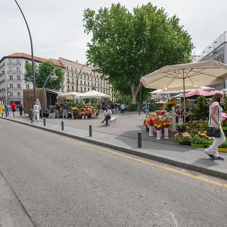Apartment For You La Latina Ecm18 Madrid