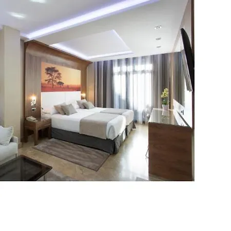 Hotel Vp Jardin De Recoletos 4*