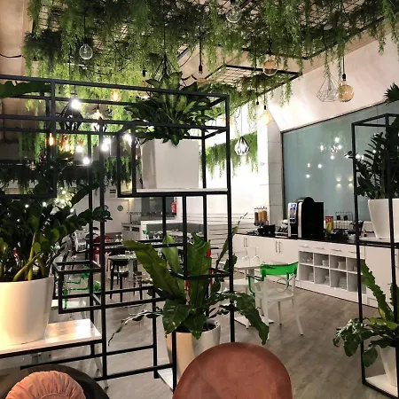클레멘트 바라하스 4*
