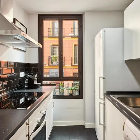 Apartment Conde Duque St