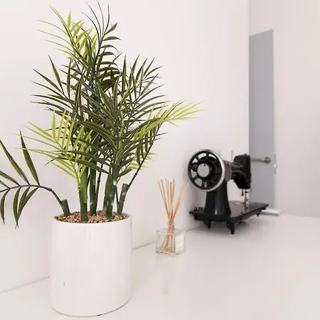 Malasaaa Dreaming Wifi - A/c Apartment *