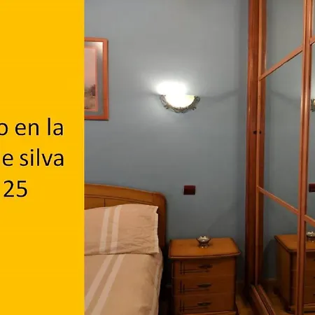 Apartment Y Estudio En La Calle Silva Madrid
