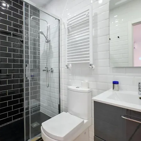Ever House - Alcala Diva 2 Rooftop Apartment Madrid