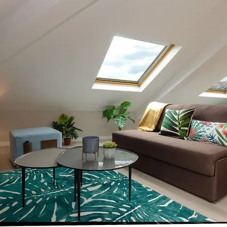 Apartment Precioso Atico Con Terraza En El Centro De Amazing Penthouse In Center